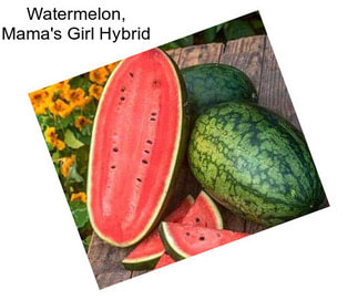 Watermelon, Mama\'s Girl Hybrid
