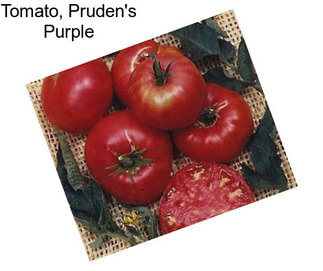 Tomato, Pruden\'s Purple