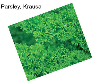 Parsley, Krausa