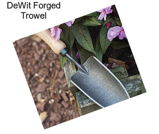 DeWit Forged Trowel