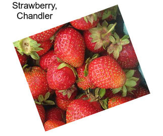 Strawberry, Chandler