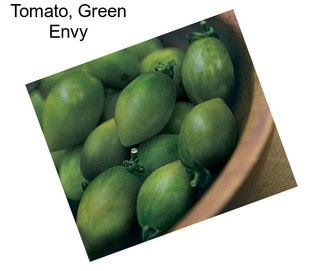 Tomato, Green Envy