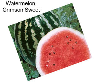 Watermelon, Crimson Sweet