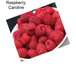 Raspberry, Caroline