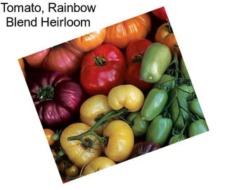 Tomato, Rainbow Blend Heirloom