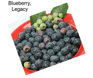 Blueberry, Legacy