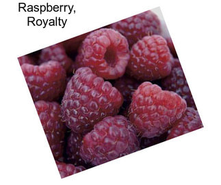 Raspberry, Royalty