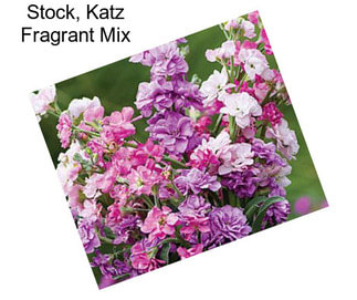 Stock, Katz Fragrant Mix