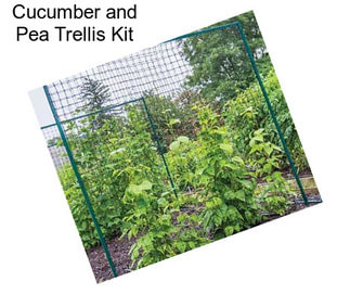 Cucumber and Pea Trellis Kit