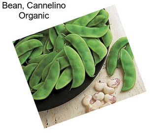 Bean, Cannelino Organic