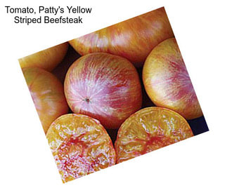 Tomato, Patty\'s Yellow Striped Beefsteak