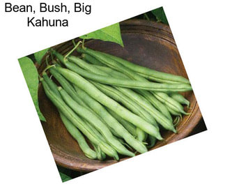 Bean, Bush, Big Kahuna