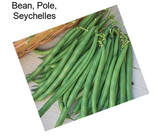 Bean, Pole, Seychelles