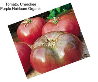 Tomato, Cherokee Purple Heirloom Organic