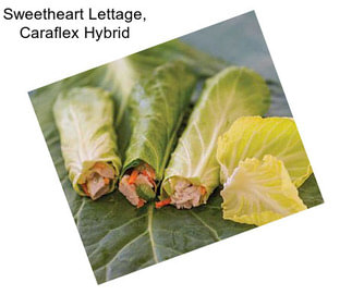 Sweetheart Lettage, Caraflex Hybrid