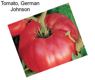 Tomato, German Johnson