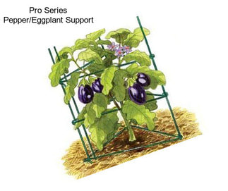 Pro Series Pepper/Eggplant Support