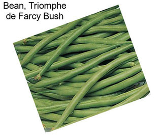 Bean, Triomphe de Farcy Bush