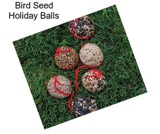 Bird Seed Holiday Balls