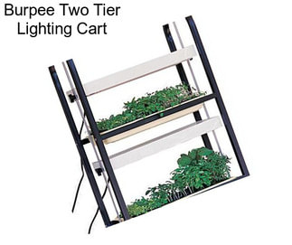 Burpee Two Tier Lighting Cart