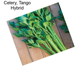 Celery, Tango Hybrid