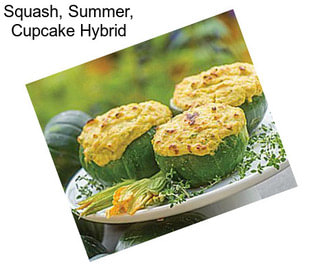 Squash, Summer, Cupcake Hybrid