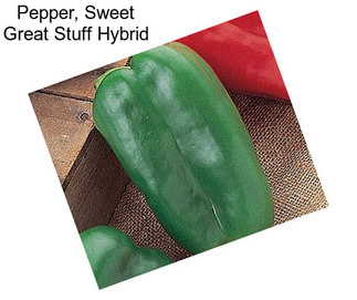 Pepper, Sweet Great Stuff Hybrid