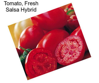 Tomato, Fresh Salsa Hybrid