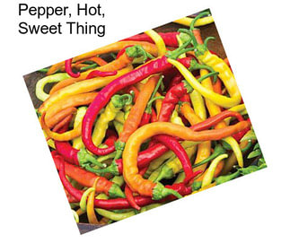 Pepper, Hot, Sweet Thing