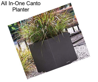 All In-One Canto Planter