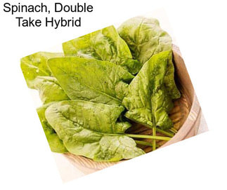 Spinach, Double Take Hybrid