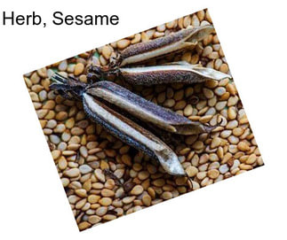 Herb, Sesame