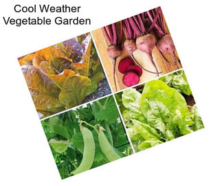 Cool Weather Vegetable Garden