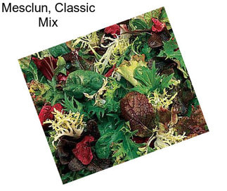 Mesclun, Classic Mix