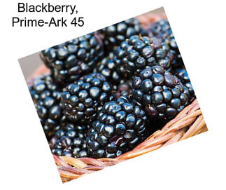Blackberry, Prime-Ark 45
