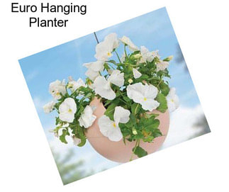 Euro Hanging Planter