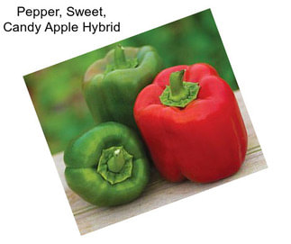 Pepper, Sweet, Candy Apple Hybrid