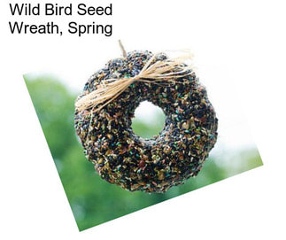 Wild Bird Seed Wreath, Spring