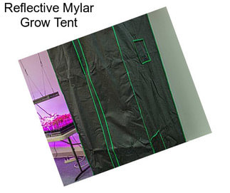 Reflective Mylar Grow Tent