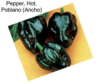 Pepper, Hot, Poblano (Ancho)