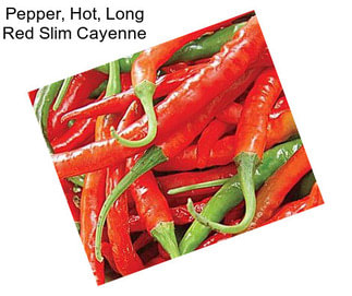 Pepper, Hot, Long Red Slim Cayenne