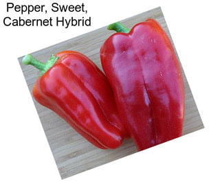 Pepper, Sweet, Cabernet Hybrid