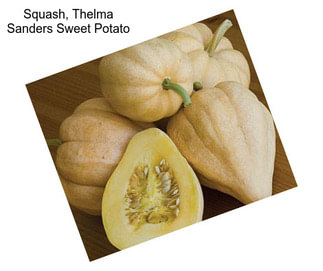 Squash, Thelma Sanders Sweet Potato