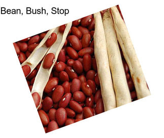 Bean, Bush, Stop