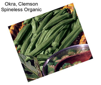 Okra, Clemson Spineless Organic