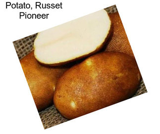 Potato, Russet Pioneer