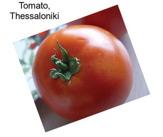 Tomato, Thessaloniki