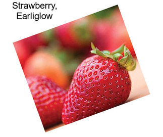 Strawberry, Earliglow