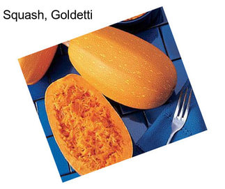 Squash, Goldetti
