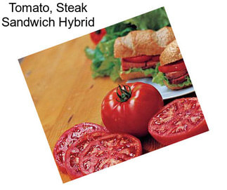 Tomato, Steak Sandwich Hybrid